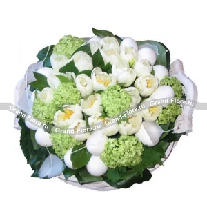 Новая жизнь Новая жизнь