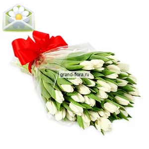 Вся моя нежность Вся моя нежность