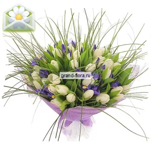 Утренняя звезда Утренняя звезда