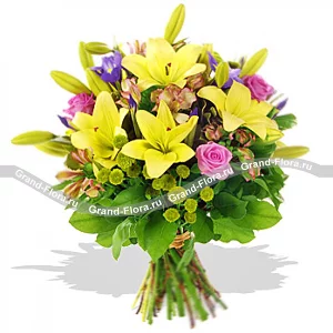 Мисс элегантность  Мисс элегантность